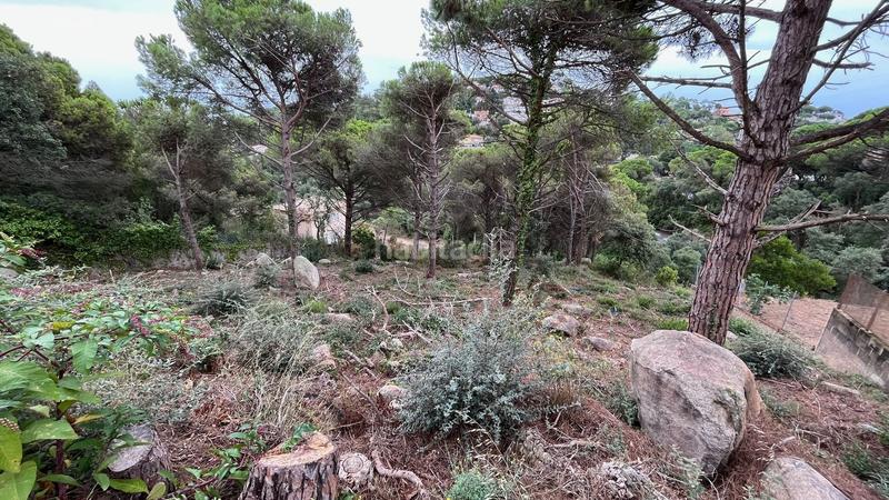 Foto 5f078663-1404-4a26-8f2c-75e746130fd2. Wohngrundstück in Serra Brava Lloret de Mar
