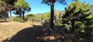 Residential Plot in Serra Brava