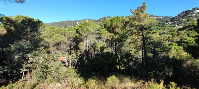 Foto 8ff3dd81-79c8-46b1-aaa8-2c894480b449. Terrain résidentiel dans Serra Brava Lloret de Mar