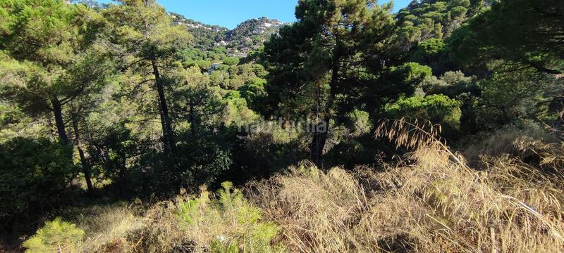 Foto 026561f2-49c2-4c07-93e1-d3e0c8155411. Wohngrundstück in Serra Brava Lloret de Mar