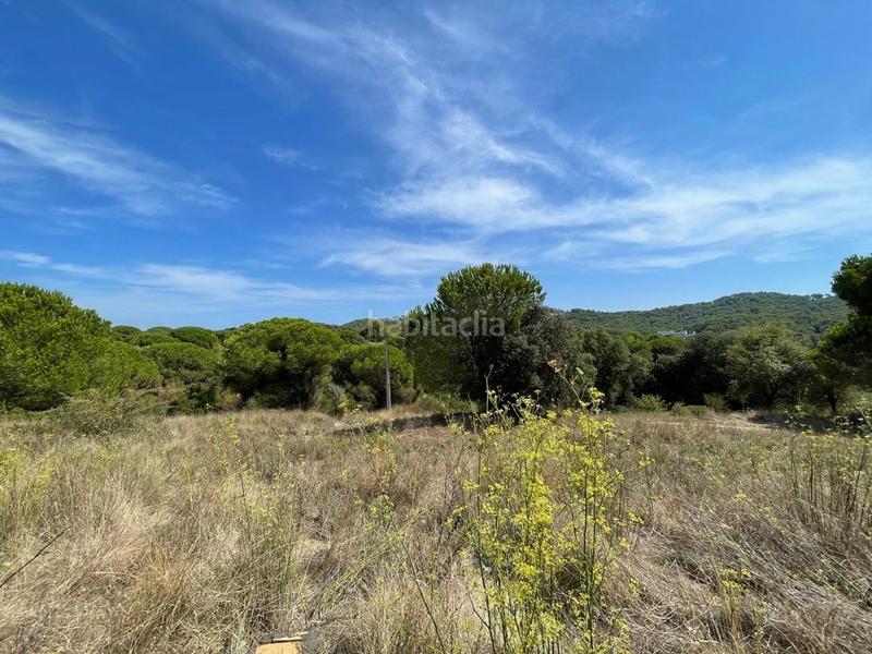 Foto b81c9d8b-0f46-45e3-8752-ed6e4a45c572. Terreno residenziale in Mont Ferrant-Joan Carles I Blanes