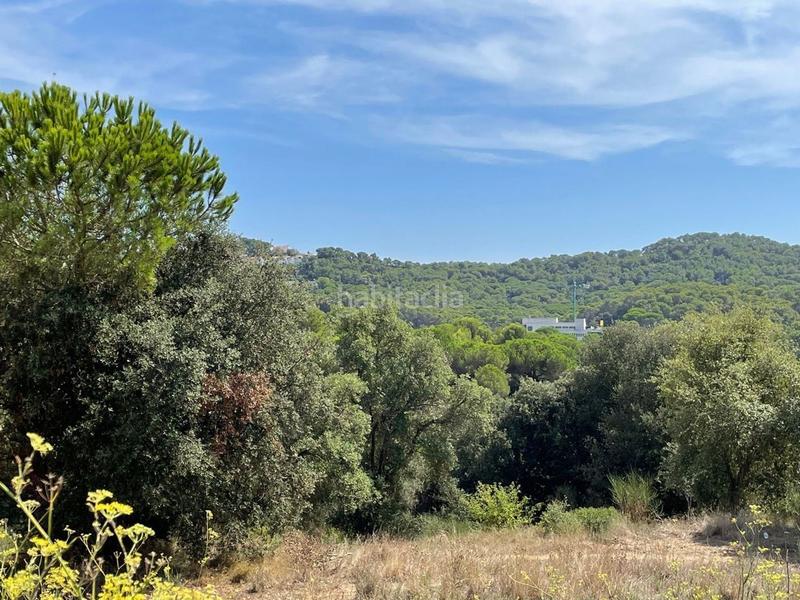 Foto e068a5b6-f9ec-46a6-92a4-cffc834d3e19. Terreno residenziale in Mont Ferrant-Joan Carles I Blanes
