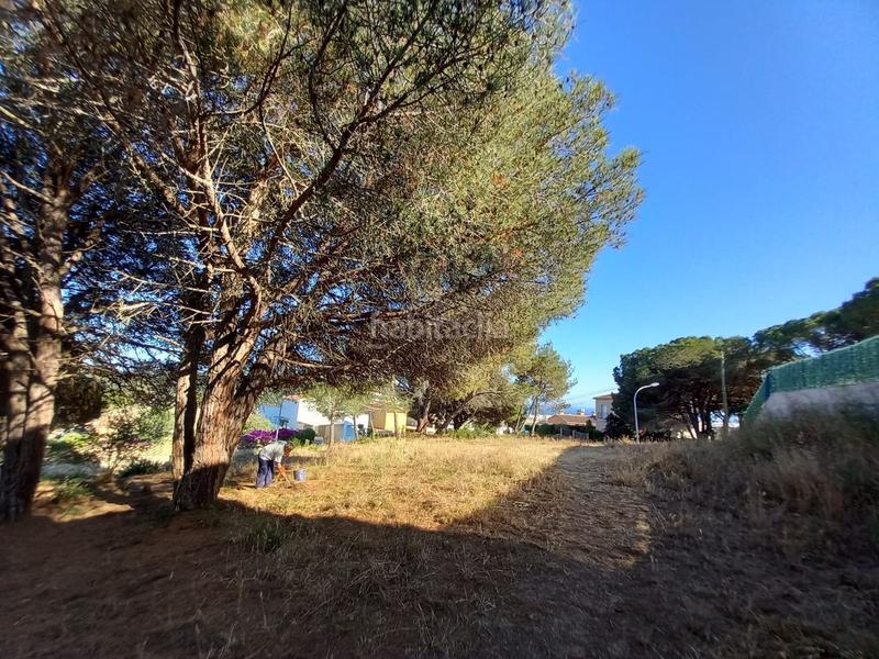 Foto ced4cd74-f619-494d-9552-694410716dd6. Terreny residencial a residencial Blanes - vistamar Blanes