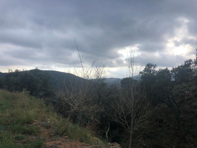 Foto 0a063a74-4c70-4a9b-9c29-7e4de0680460. Residential plot in Riudarenes