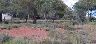 Terreny residencial  Carrer escultor llimona. Terreno en sant lloren savall