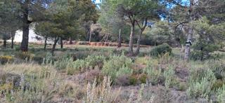 Terrain résidentiel  Calle escultor llimona. Terreno en sant llorenç savall