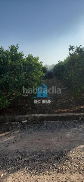 Foto 1b1965a9-87b8-48ea-9299-3e1716ebf44d. Fondo rustico in El Puig El Puig de Santa Maria