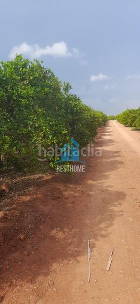 Foto e60682dc-a781-45a7-9ec9-450b4e8e5ec9. Fondo rustico in El Puig El Puig de Santa Maria