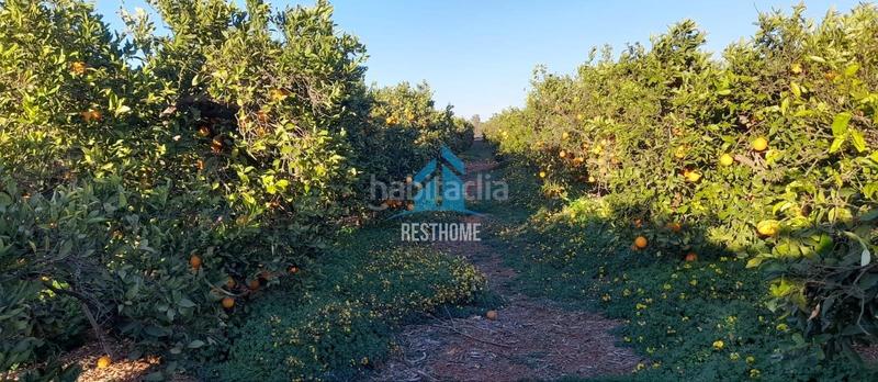 Foto e7a249e5-2860-47e1-8988-77e2f164ddeb. Fondo rustico in El Puig El Puig de Santa Maria