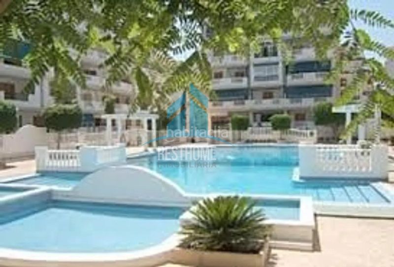 Foto e18cd658-75c2-4ced-961e-c125ac918833. Apartament amb piscina a Los Europeos Torrevieja