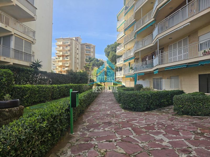 Foto 26c4e089-37e9-4ed3-9660-4078ca03db5f. Pis amb aparcament a Playa de Gandía Gandia