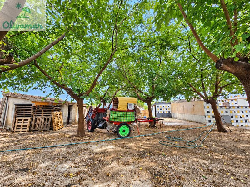 Foto e39f773a-8a48-419d-a091-fc318be4744a. Chalet in carrer de la mabra 29 in Oliva playa Oliva