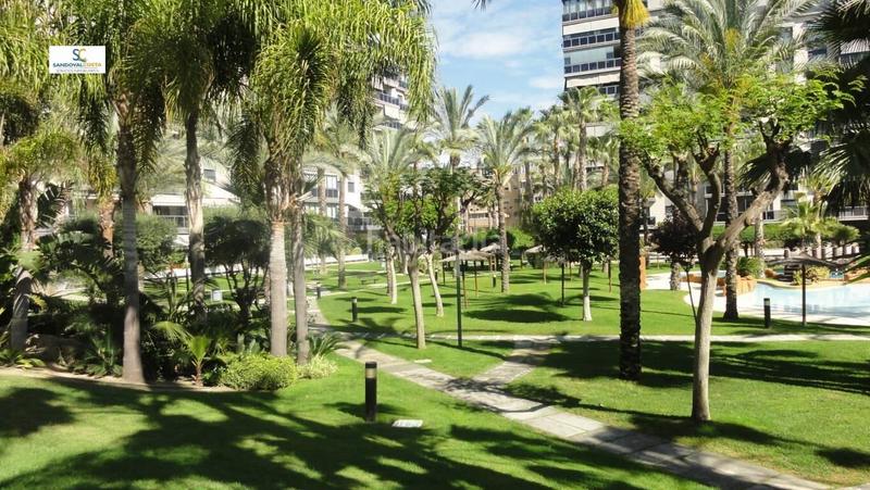 Foto a0d05491-fdc8-4e2f-b966-8eaa81e78515. Rent flat with parking pool in Playa de San Juan Alicante