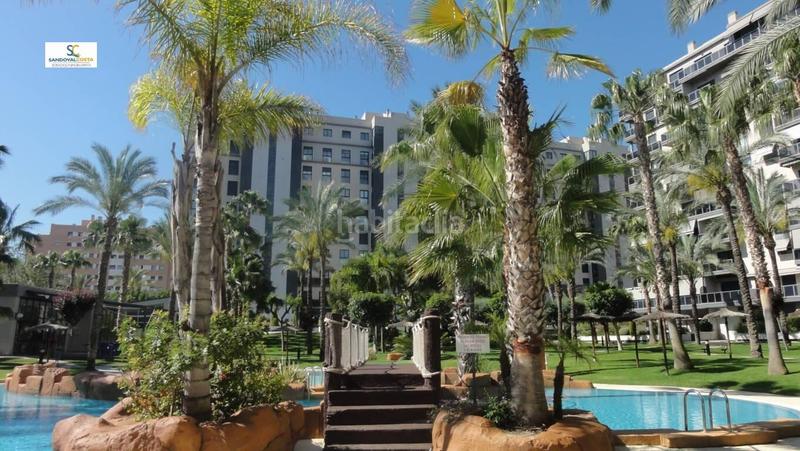 Foto b8b7f91b-d516-405f-a2e6-0d7a9764e402. Rent flat with parking pool in Playa de San Juan Alicante