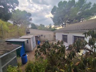 Casa  Carrer linda 5. Conjunto de 4 terrenos con casita, almacenes y espectaculares vi