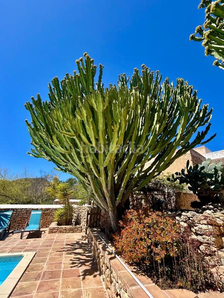 Foto d5233183-c80d-48ce-bfc4-6ca4a6fba77e. Country house with heating parking pool in Sant Agustí-Cala de Bou Sant Josep de sa Talaia