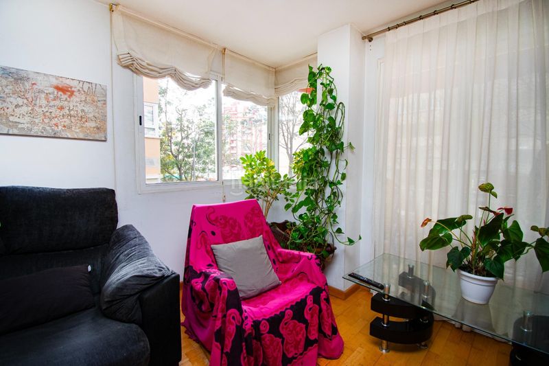 Foto 7690e1b4-0ec7-4fe9-a625-d0ed739842c4. Pis a El Fortí Palma de Mallorca