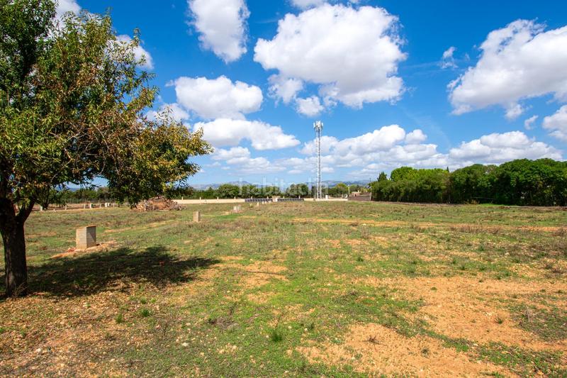 Foto 75a9f85e-bae2-4171-842e-ba9c7003a1bb. Masia amb calefacció aparcament piscina a Son Ferriol Palma de Mallorca