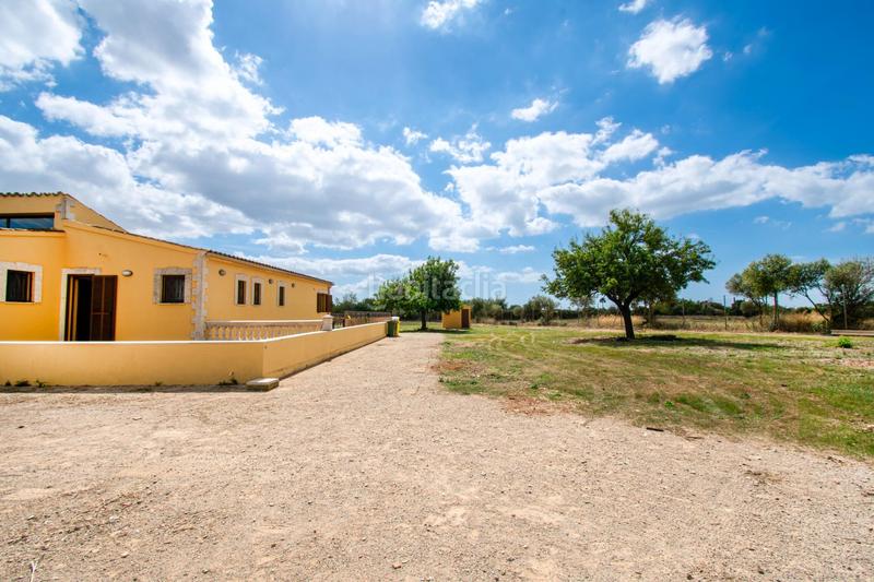 Foto cf1aa9e6-5c46-45d6-82c1-dd3f1c26e37a. Masia amb calefacció aparcament piscina a Son Ferriol Palma de Mallorca