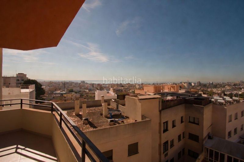 Foto 9884ad37-b21b-4344-94f4-ab3f955e0e86. Pis a Son Espanyolet Palma de Mallorca