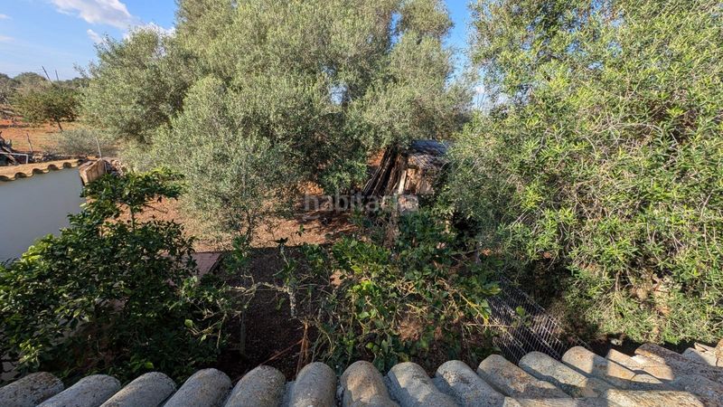 Foto 636ace69-58a0-471f-9320-d2cc17a81908. Xalet amb aparcament a Son Serra-Sa Vileta Palma de Mallorca