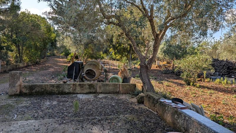 Foto 63fb4526-750b-47af-841d-10d064fd777c. Xalet amb aparcament a Son Serra-Sa Vileta Palma de Mallorca