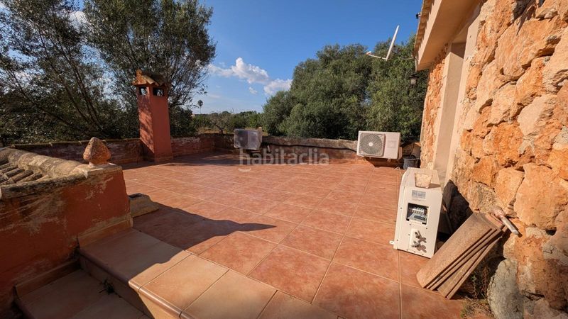 Foto 64a6440a-6145-4c5a-87ac-566774aa3700. Xalet amb aparcament a Son Serra-Sa Vileta Palma de Mallorca