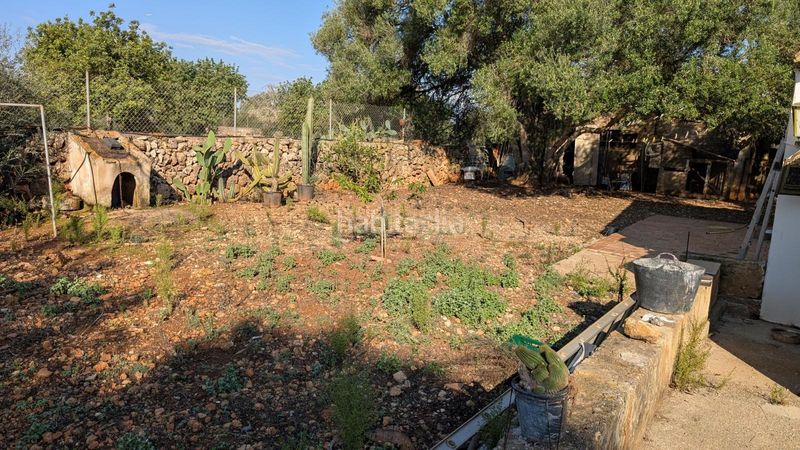 Foto 82635b39-2b5d-4055-bbd3-9bed138e208d. Xalet amb aparcament a Son Serra-Sa Vileta Palma de Mallorca