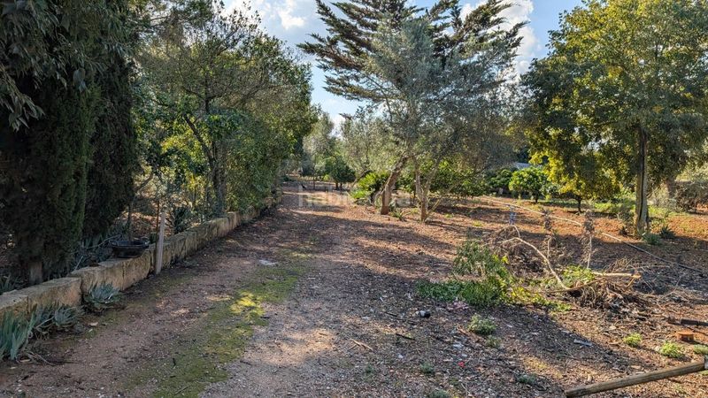 Foto aa54ed86-7491-4ab2-b3a5-b541fae720e3. Xalet amb aparcament a Son Serra-Sa Vileta Palma de Mallorca