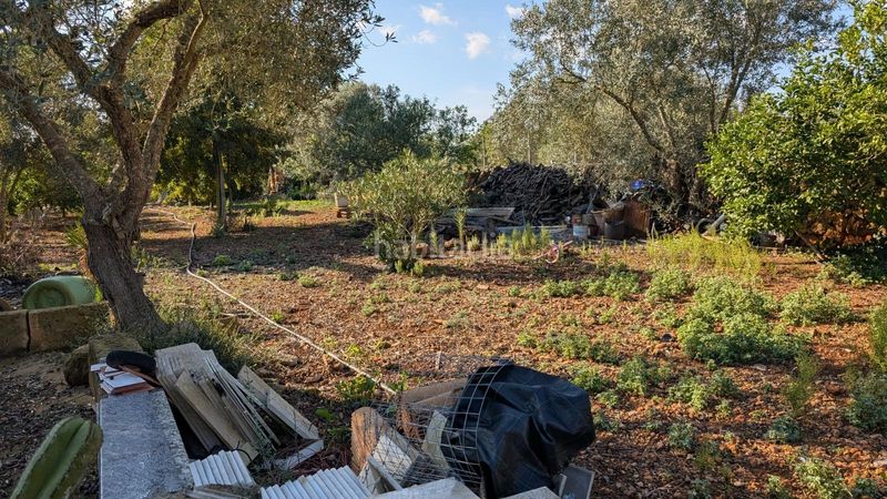 Foto ba4b978c-a295-4d06-9fee-afac8ef54c48. Xalet amb aparcament a Son Serra-Sa Vileta Palma de Mallorca