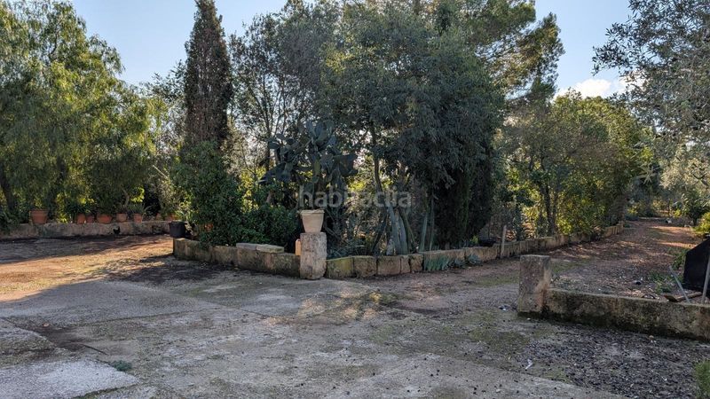 Foto c41e7957-987d-467a-9fcd-224eee6bd8b2. Xalet amb aparcament a Son Serra-Sa Vileta Palma de Mallorca