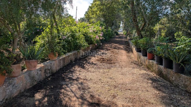 Foto d220ad7b-2de3-4c55-8501-d998a8184944. Xalet amb aparcament a Son Serra-Sa Vileta Palma de Mallorca