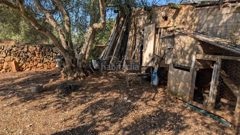 Foto de9f6a40-4510-4c4b-8d08-712bafbca128. Xalet amb aparcament a Son Serra-Sa Vileta Palma de Mallorca