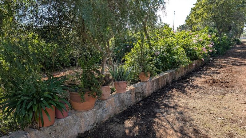 Foto ec5c3f3c-1c34-4288-9dec-cf9b08b5c378. Xalet amb aparcament a Son Serra-Sa Vileta Palma de Mallorca