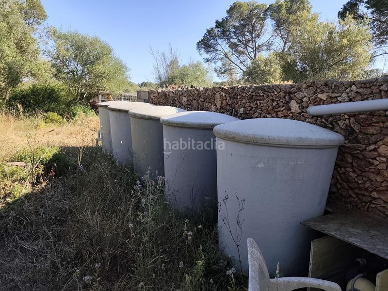 Foto f95b5551-e43a-4474-9c91-c2c0fd47c330. Masia a Algaida
