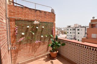 Àtic a Carrer femenies 32. Sobreático con terraza para reformar junto a santa catalina  pal