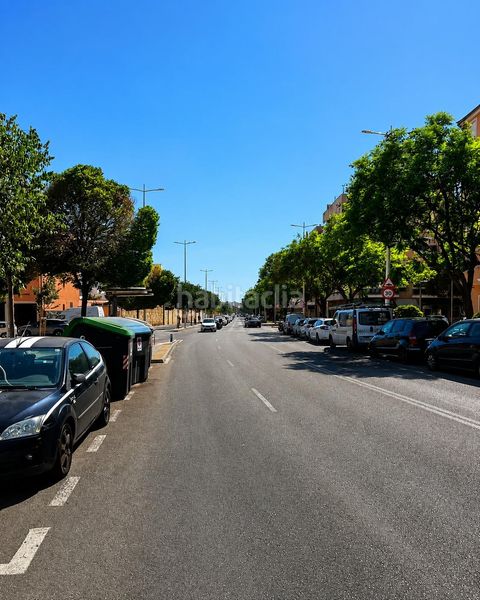 Foto a90707e5-c493-4aa7-b7a2-854cdd4d0780. Pis a Plaça de Toros Palma de Mallorca