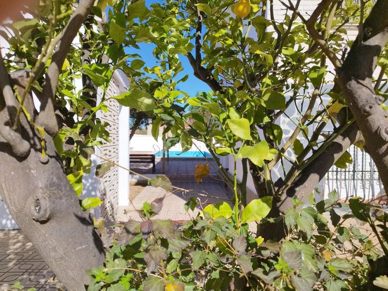 Foto d7a3d08c-8a9c-491f-b429-366636591dfa. Chalet mit parking pool in El Carme-Sant Agustí-Bonavista Eliana (l´)