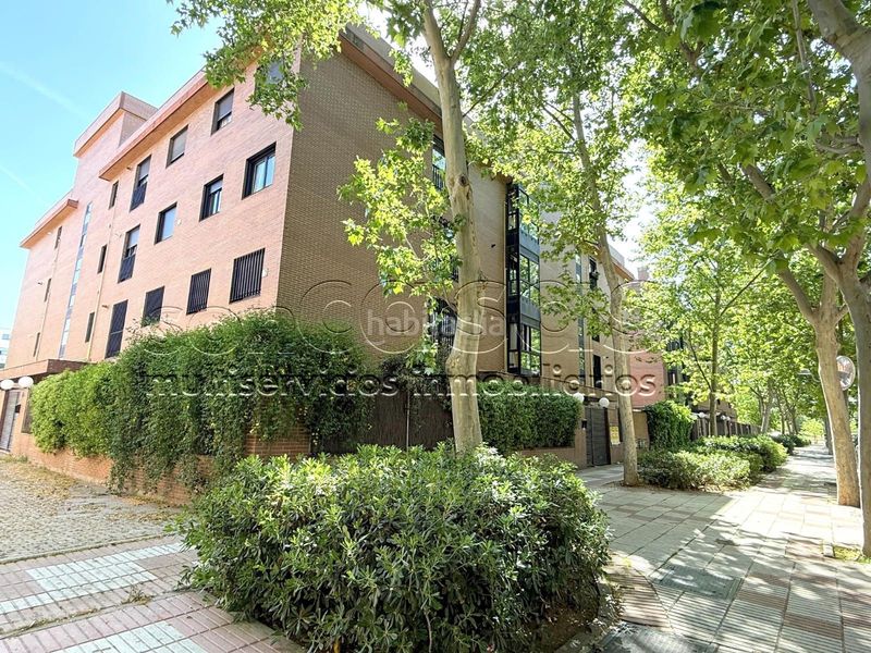 Foto 87fceb08-d134-48f8-b65d-06598af50818. Pis amb calefacció piscina a Timón Madrid