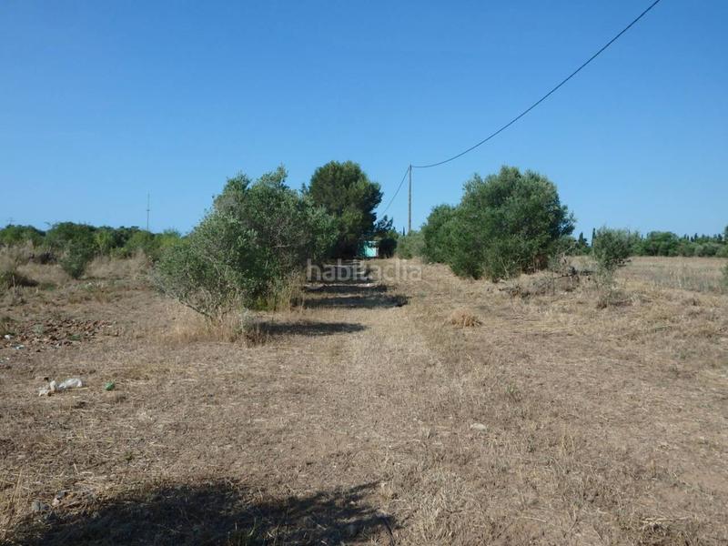 Foto 1a88b5b8-dd4f-43a0-9309-10a9504edc8f. Finca rústica a Plaça Europa - Port Aventura Salou