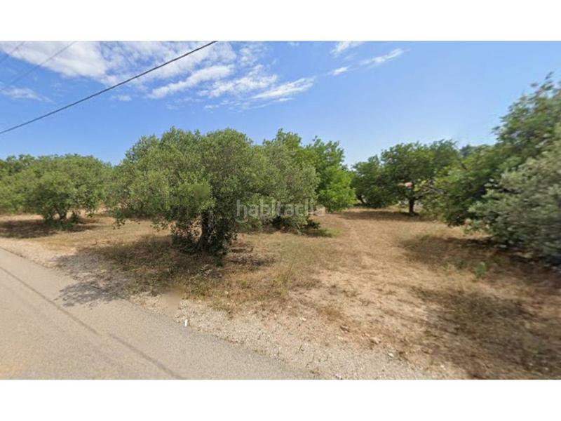 Foto b3fa9160-fcb2-431e-ad97-5fb1e882f050. Finca rústica a Barenys Salou