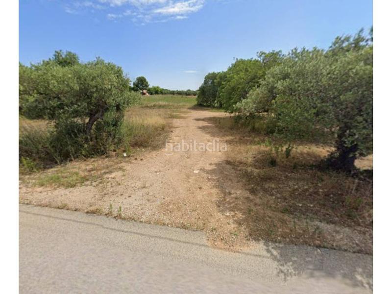 Foto c9363806-24a4-4ece-9a42-cbd6a1f68e0f. Finca rústica a Barenys Salou