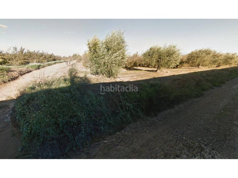 Foto d903a436-acf0-4c68-9389-36b7f979fdfd. Finca rústica a Migjorn Reus