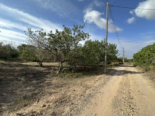 Rural plot  Camino emprius. Venta de finca rústica en salou