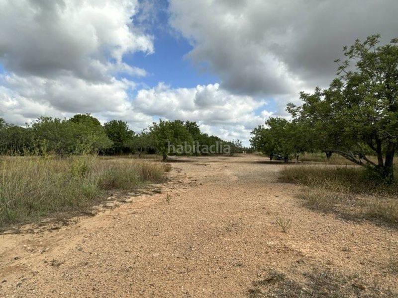 Foto 0aa2c6ac-b0bc-4061-b3bf-1a7392fac96f. Finca rústica a Vila-seca poble Vila-seca