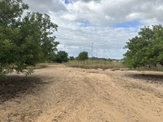 Rural plot  Camino la formiga. Finca rústica  en venta en vilaseca zona formiga