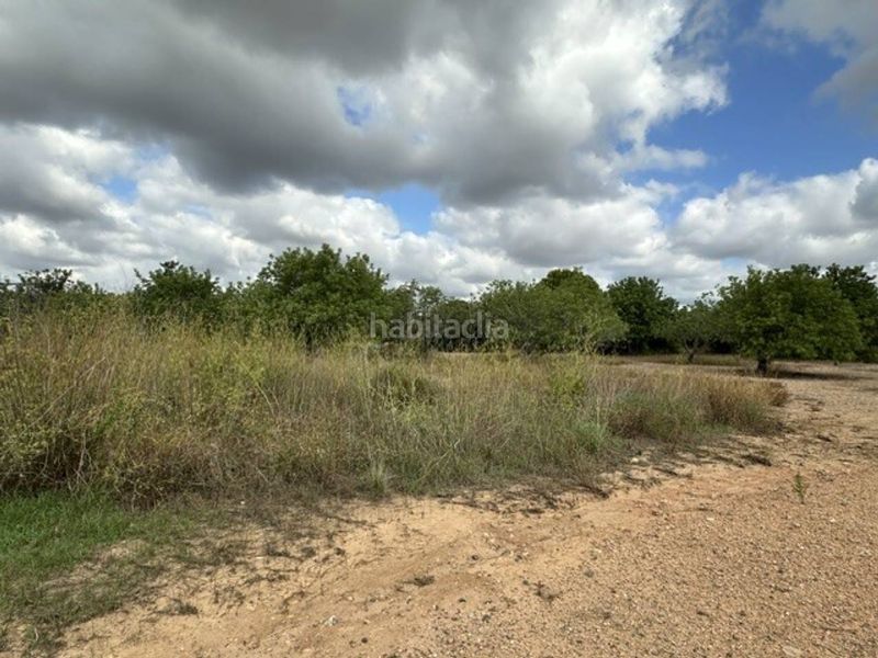Foto bfb65d6d-bc28-42fe-adec-84f6cbb9a170. Finca rústica a Vila-seca poble Vila-seca