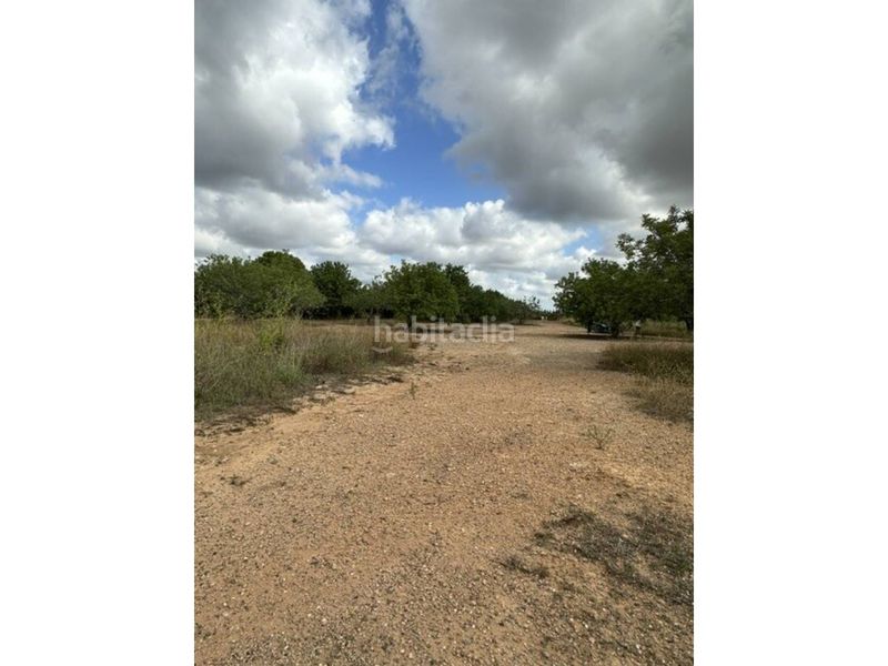 Foto c324ef6f-4adf-4451-acd0-c14d77fa2a51. Finca rústica a Vila-seca poble Vila-seca