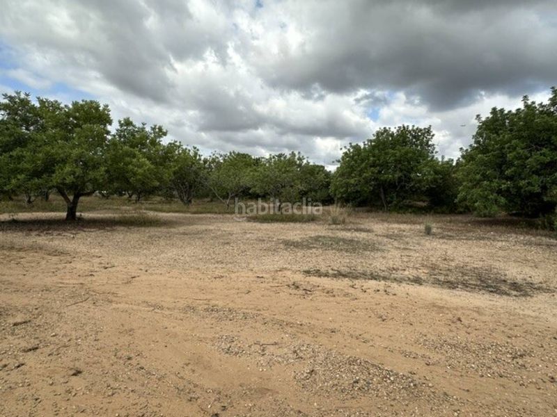Foto dc4a7264-8c86-437a-b7b5-e06d0398adb9. Finca rústica a Vila-seca poble Vila-seca