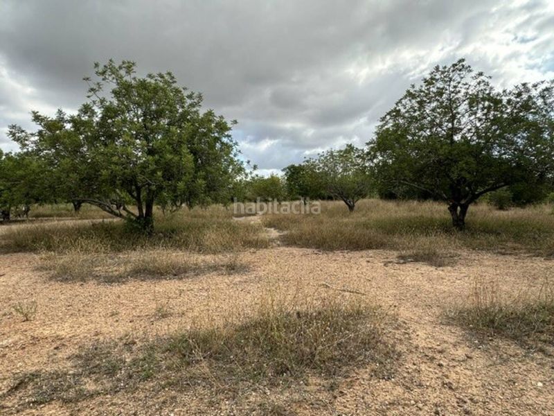 Foto fd81b827-1535-440a-8b8f-1bc16d570c58. Finca rústica a Vila-seca poble Vila-seca